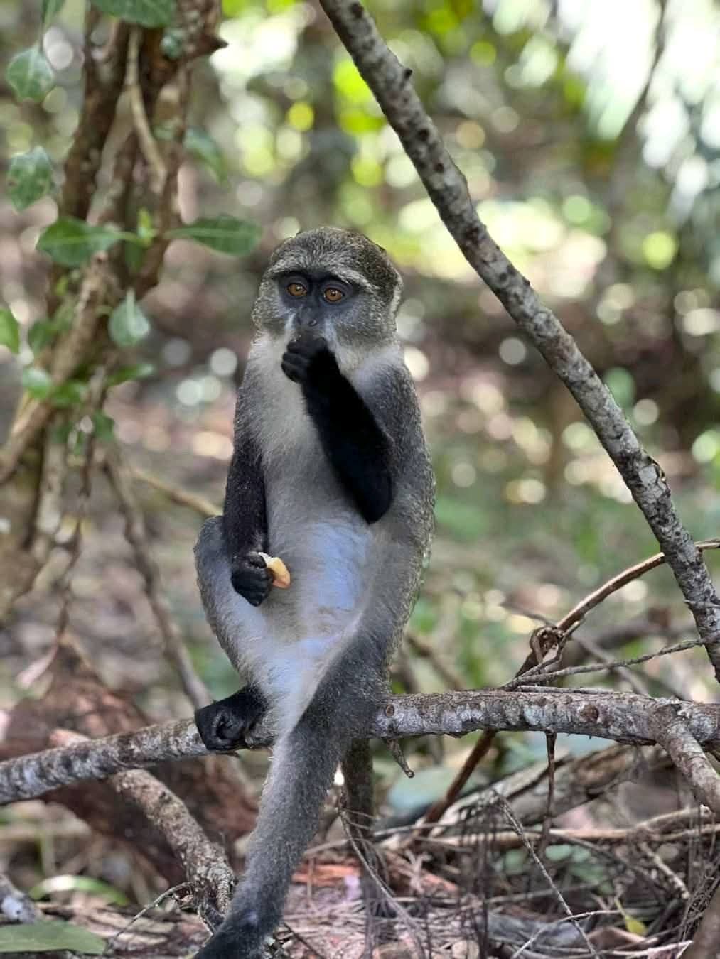 Appeal to guests 197